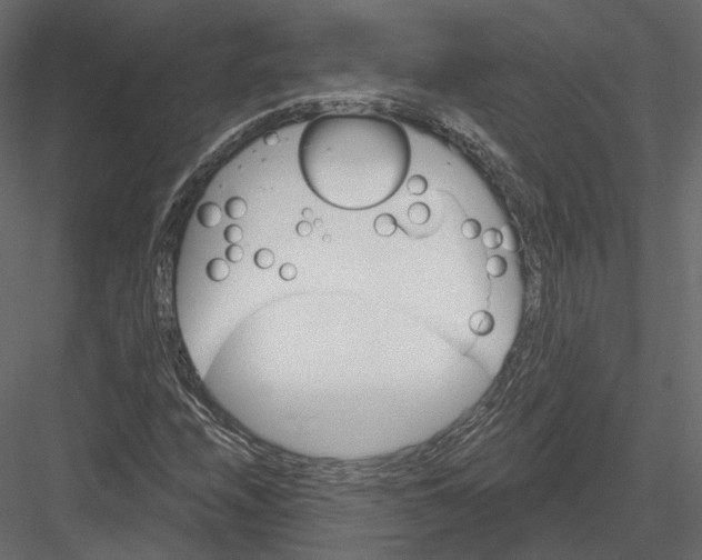 X0000082961208200702222331