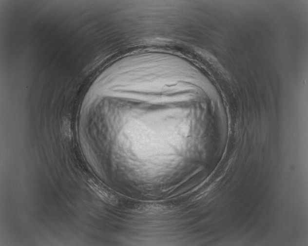 X0000082961209200702222331