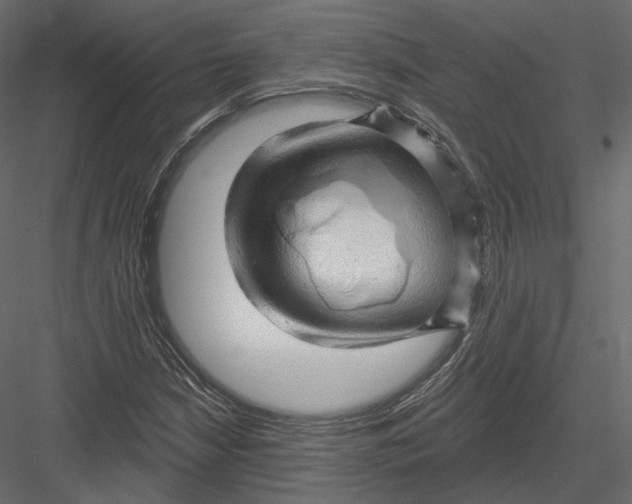 X0000082961210200702222331