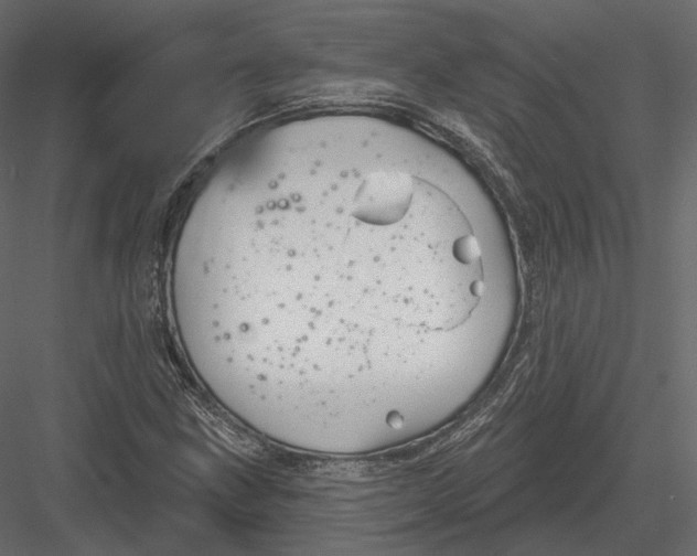 X0000082961211200702222331