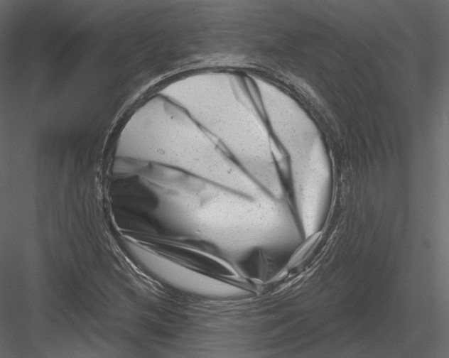 X0000082961212200702222331