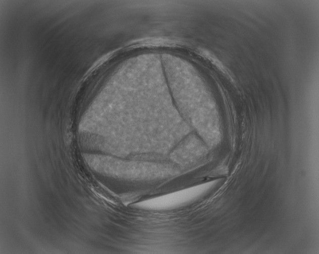 X0000082961213200702222331