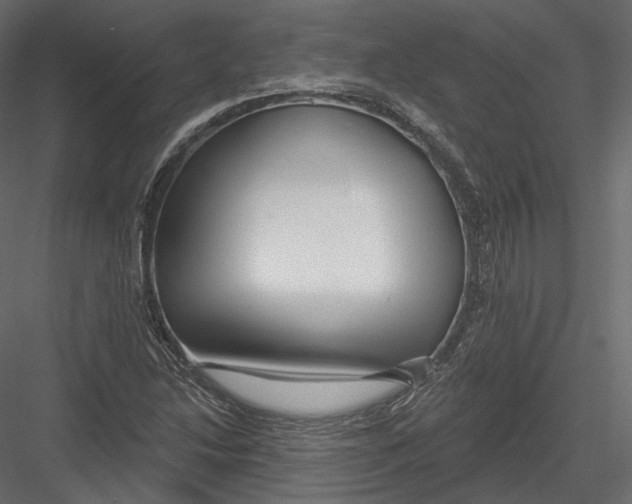 X0000082961214200702222331