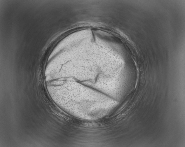 X0000082961215200702222331