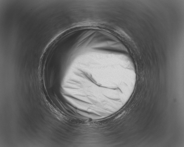 X0000082961216200702222331