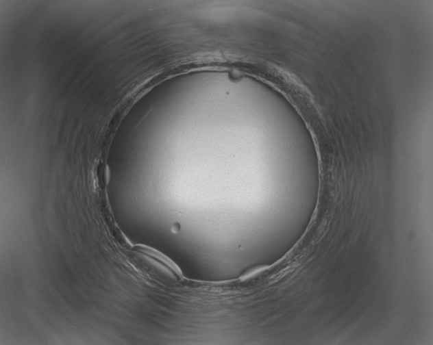 X0000082961217200702222331