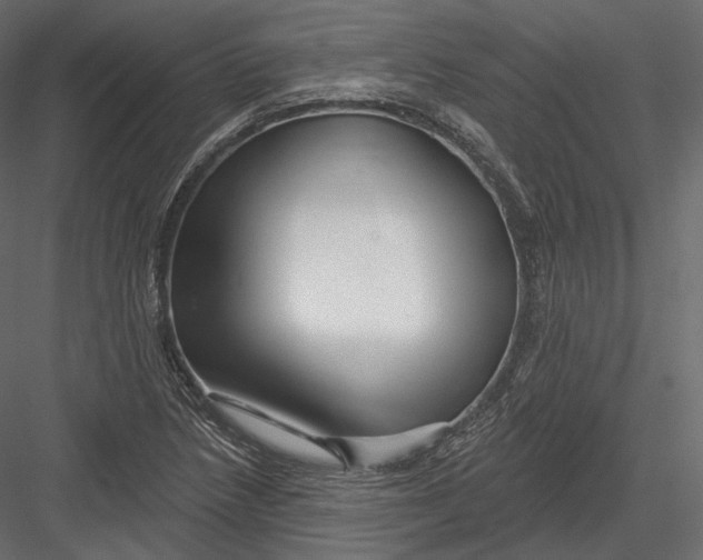 X0000082961218200702222331