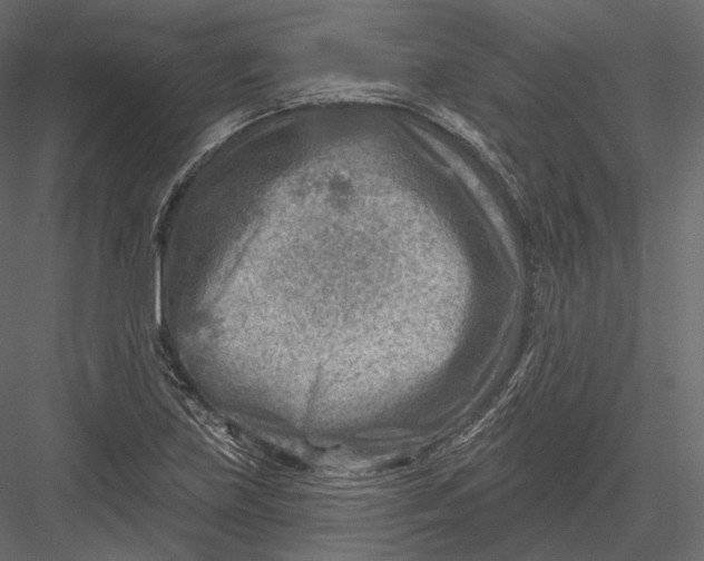 X0000082961219200702222331