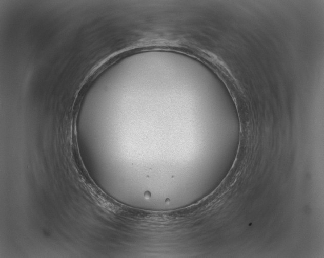 X0000082961220200702222331