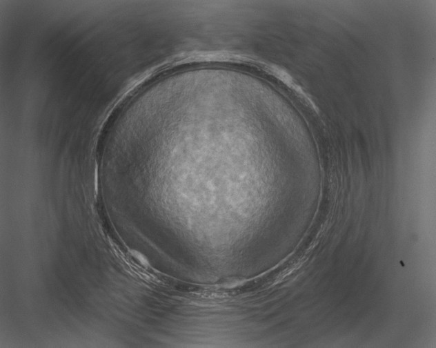 X0000082961221200702222331