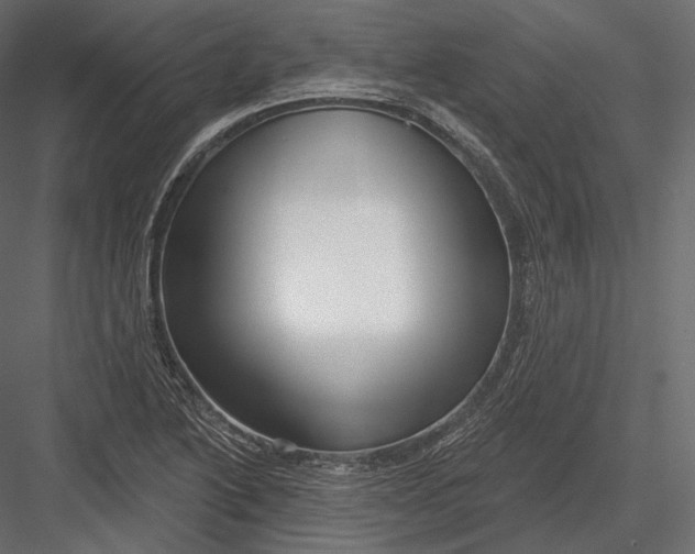 X0000082961222200702222331