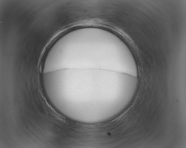 X0000082961224200702222331