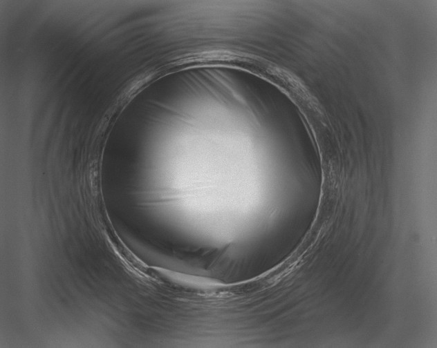 X0000082961225200702222331