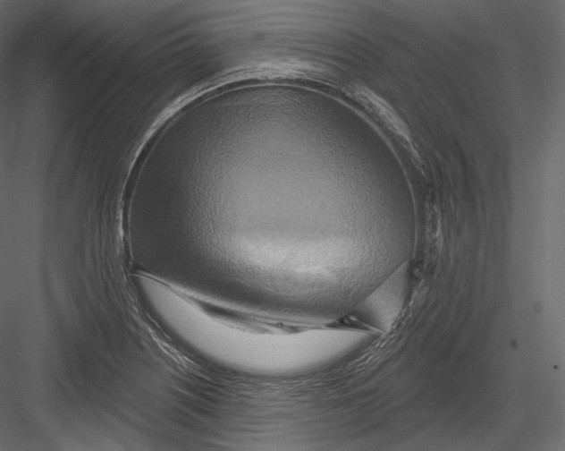 X0000082961226200702222331