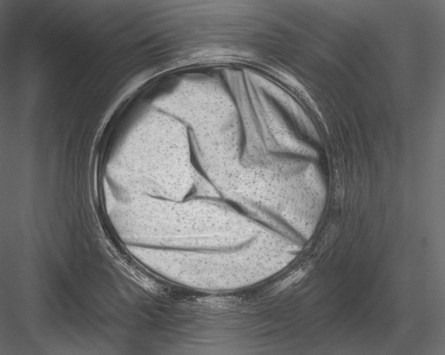 X0000082961227200702222331