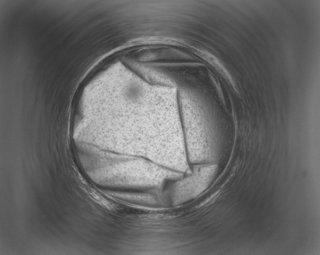 X0000082961228200702222331