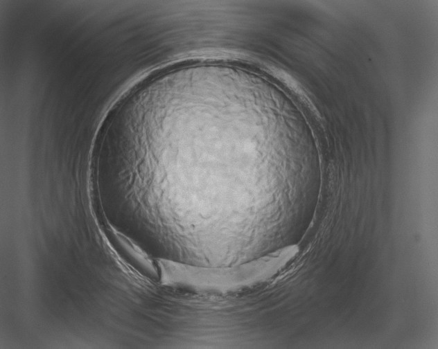 X0000082961229200702222331