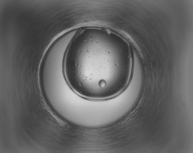 X0000082961230200702222331