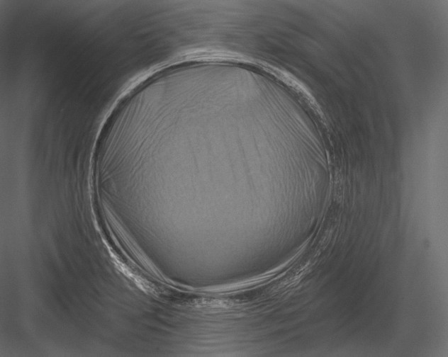 X0000082961231200702222331