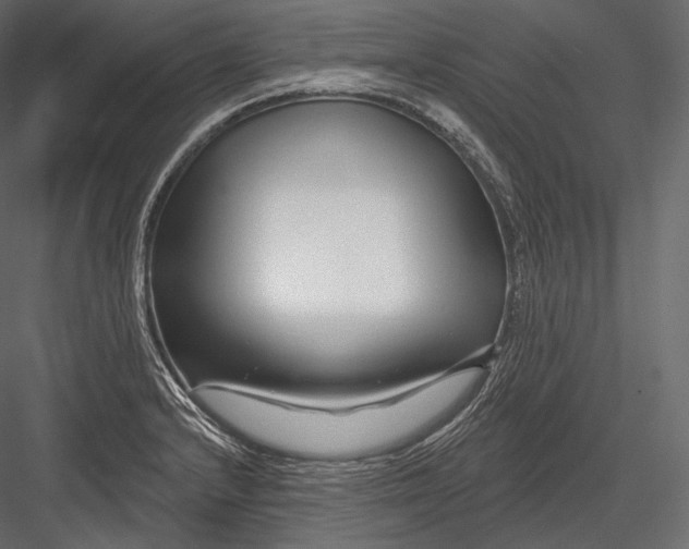 X0000082961232200702222331