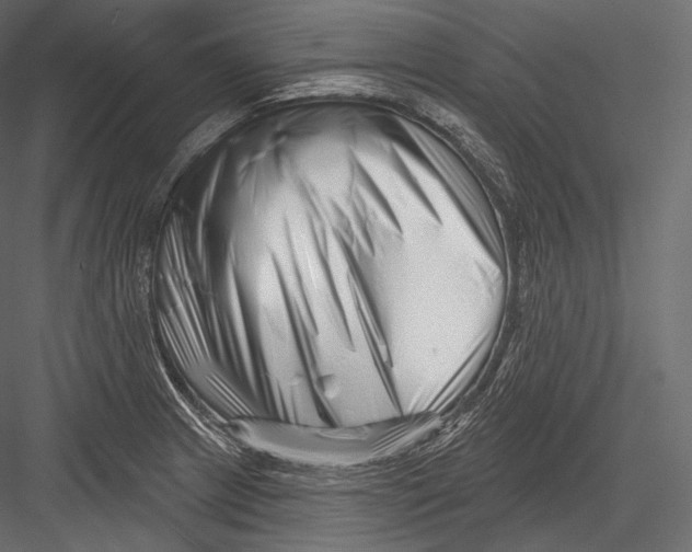 X0000082961233200702222331