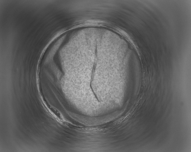 X0000082961235200702222331