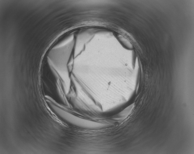 X0000082961236200702222331