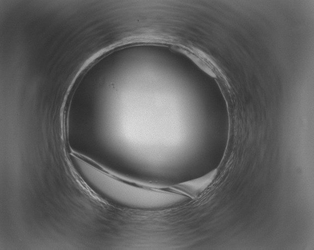 X0000082961238200702222331