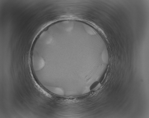 X0000082961239200702222331