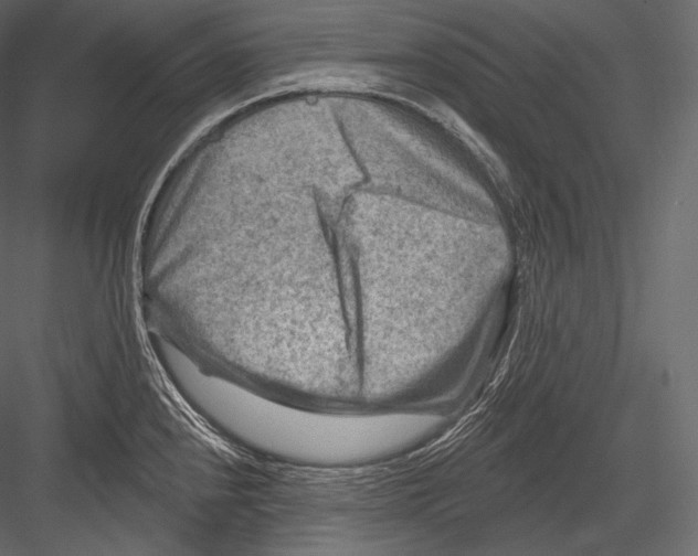 X0000082961240200702222331