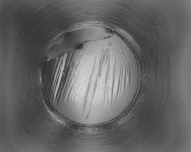 X0000082961241200702222331