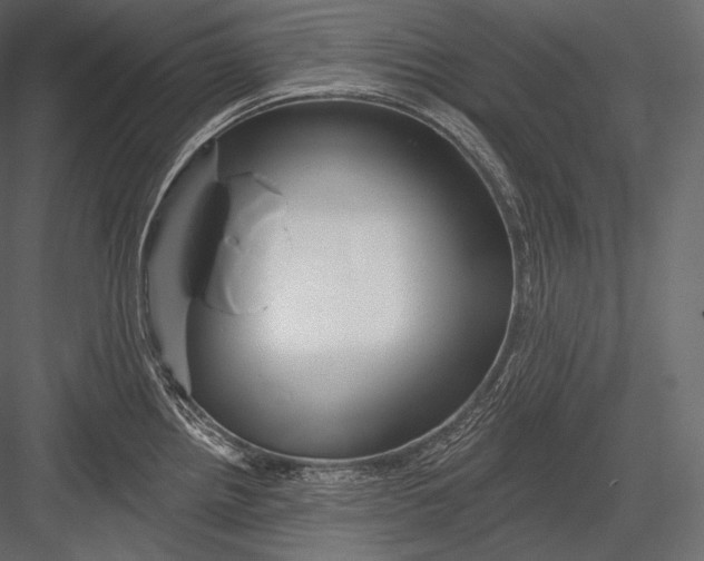 X0000082961242200702222331