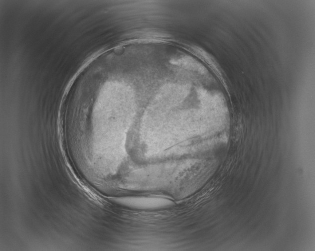 X0000082961243200702222331