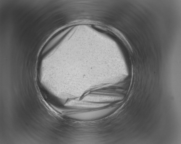 X0000082961244200702222331