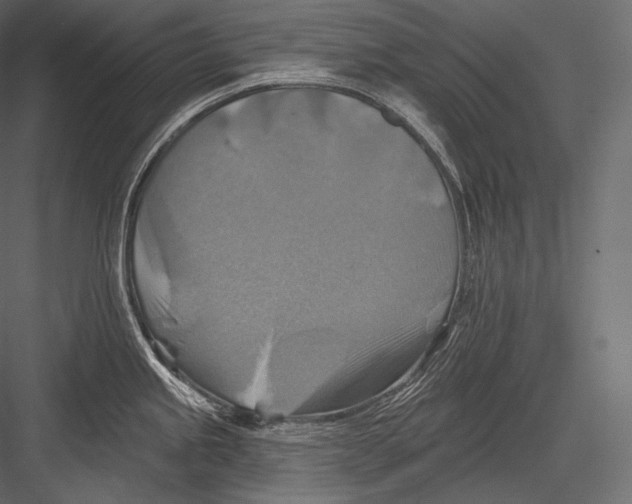 X0000082961245200702222331