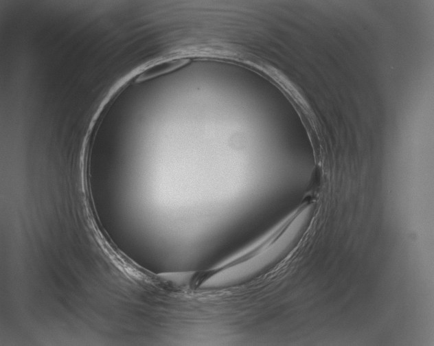 X0000082961246200702222331