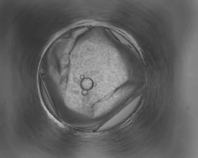 X0000082961247200702222331