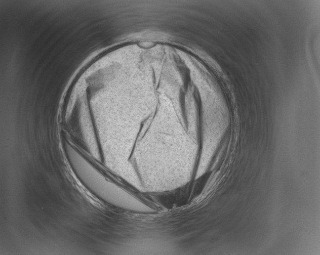 X0000082961248200702222331