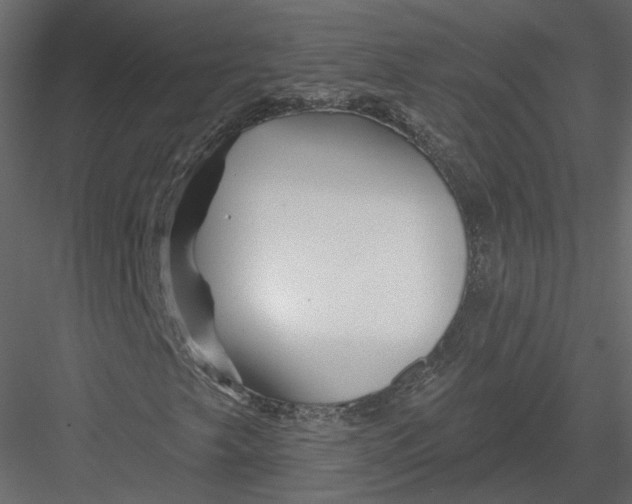 X0000082961249200702222331