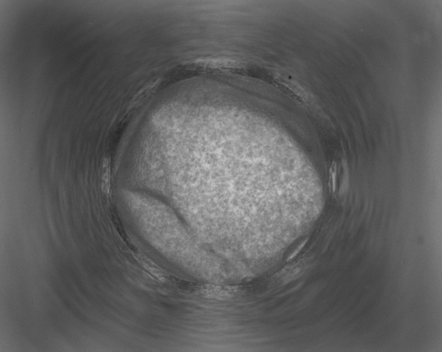 X0000082961251200702222331