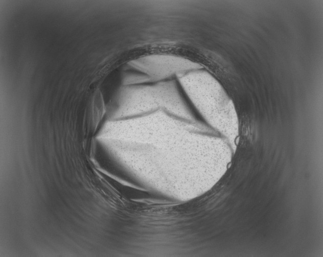 X0000082961252200702222331