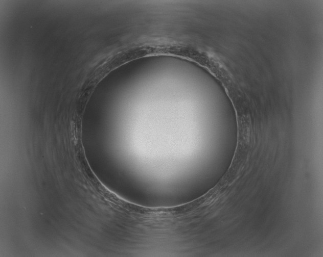 X0000082961253200702222331