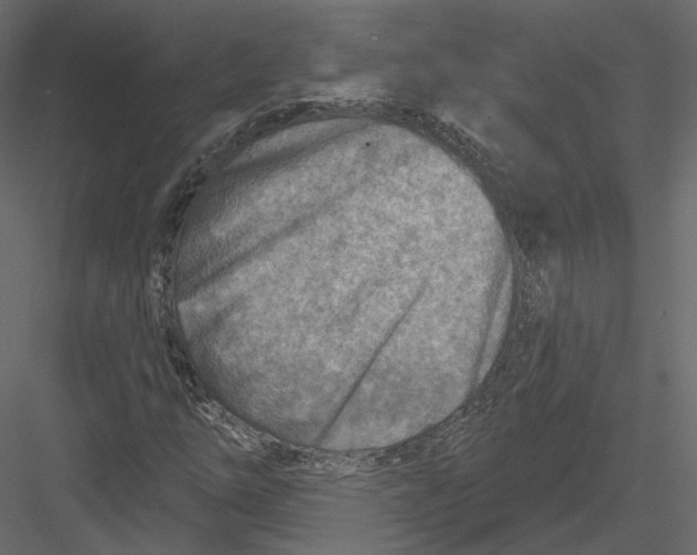 X0000082961254200702222331