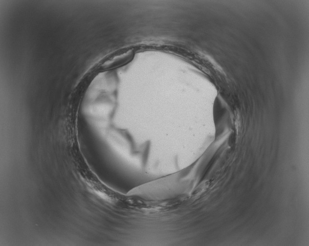 X0000082961256200702222330