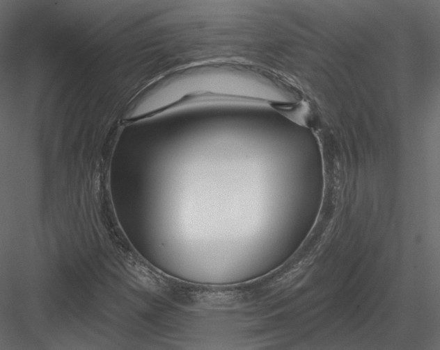 X0000082961257200702222330