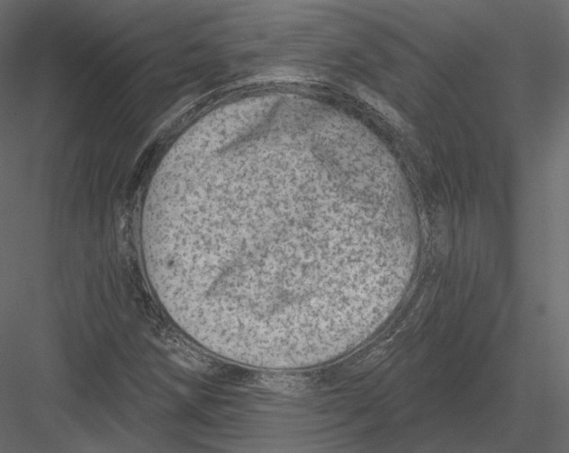 X0000082961258200702222330