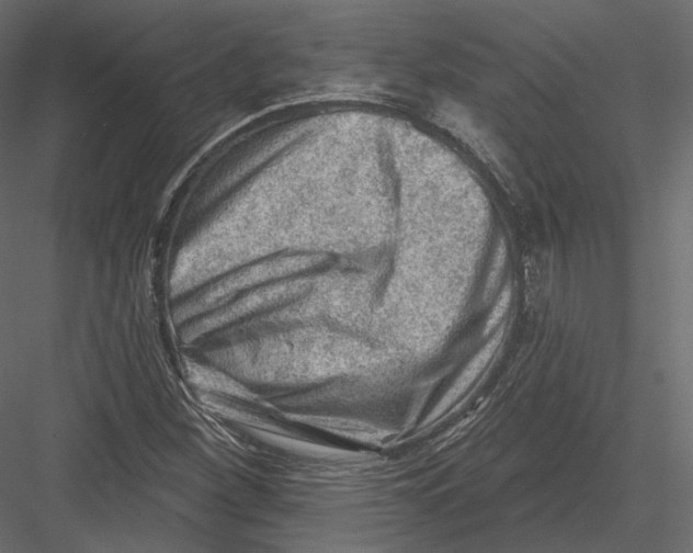 X0000082961260200702222330