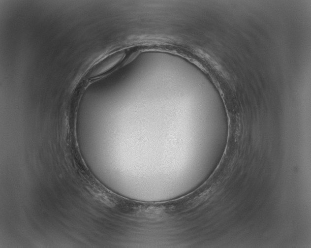 X0000082961261200702222330