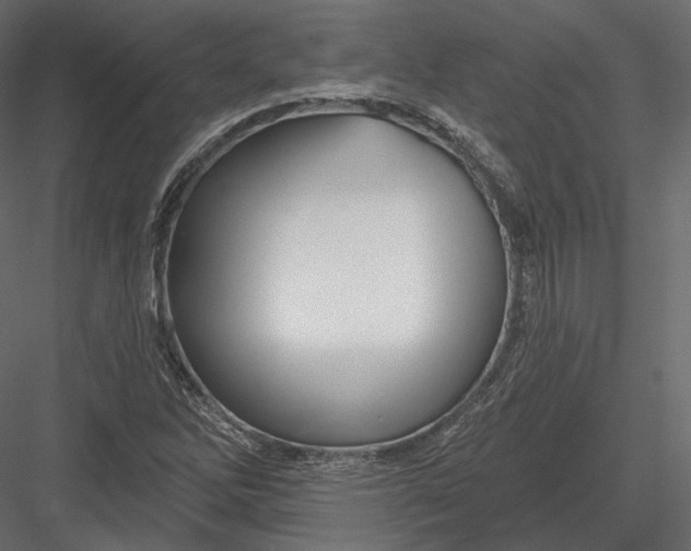 X0000082961262200702222330