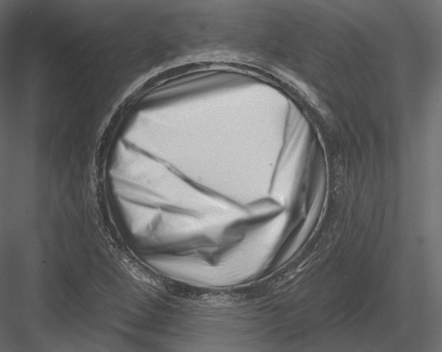 X0000082961264200702222330